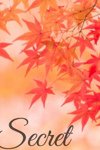 デリヘル贅沢なひと時：みあん